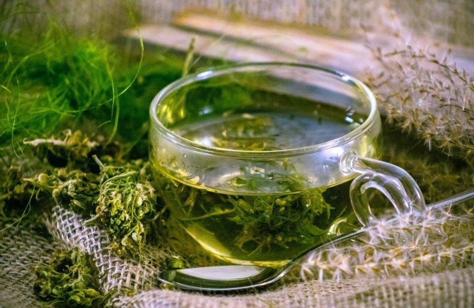 Монастырский чай: замена лекарств