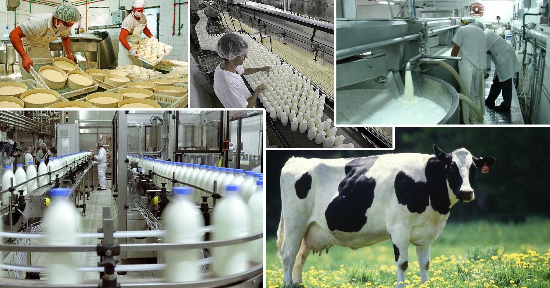 Решение вопросов промбезопасности в сфере производства молочной продукции