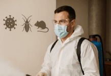 Дезинфекция, дезинсекция и дератизация: зачем нужны и чем отличаются